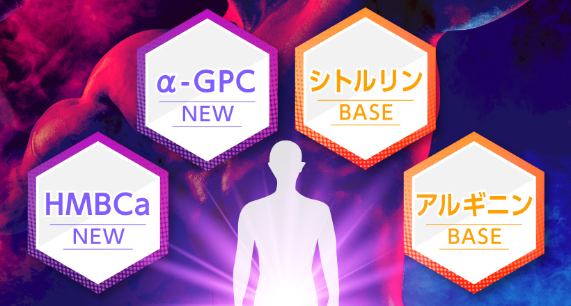 シトルリン、アルギニン、α-gpc、HMBca